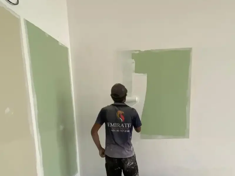Home 11 villa painting services